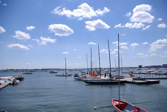 IMGP2573