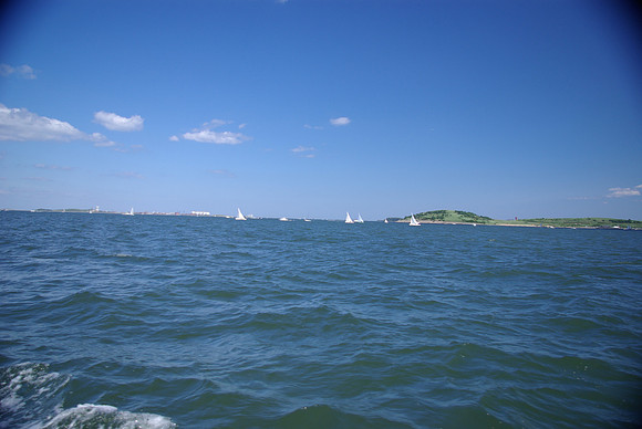 IMGP2594