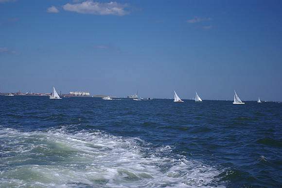 IMGP2595