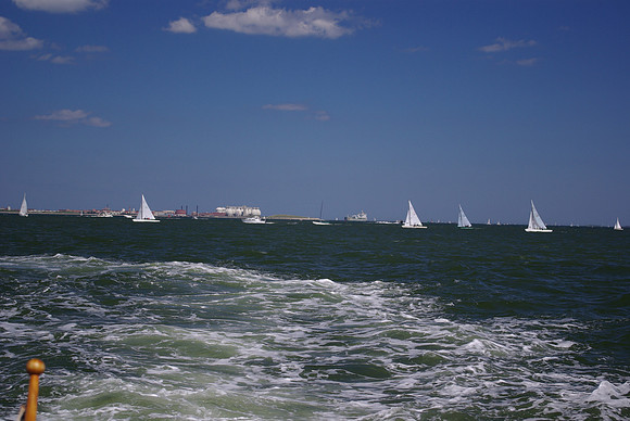 IMGP2596