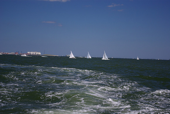 IMGP2598