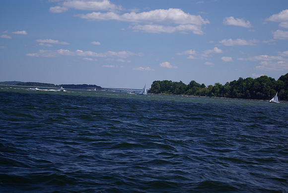 IMGP2601