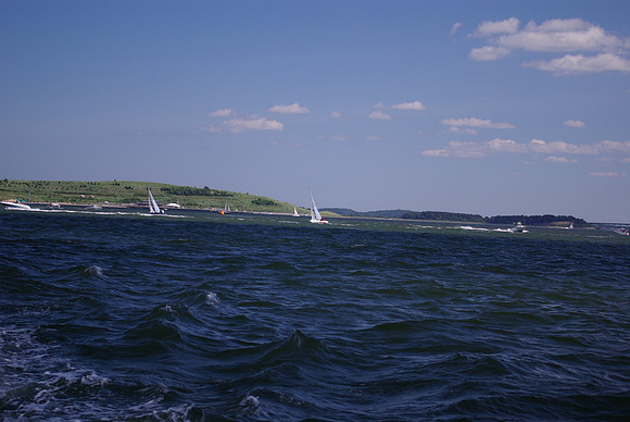 IMGP2602