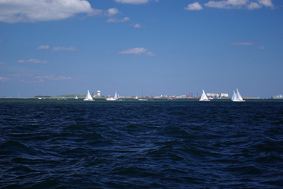 IMGP2603
