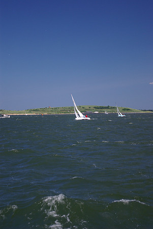 IMGP2604