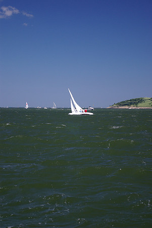 IMGP2606