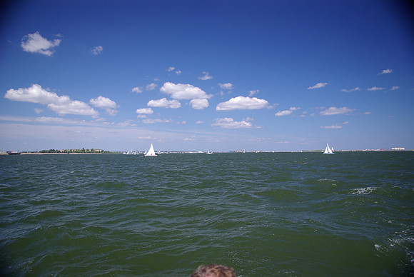 IMGP2611