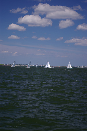 IMGP2614