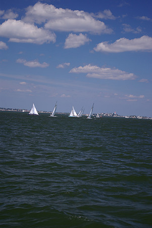 IMGP2615