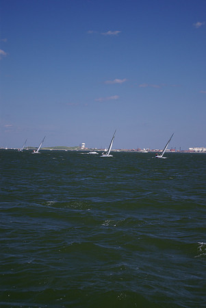 IMGP2617