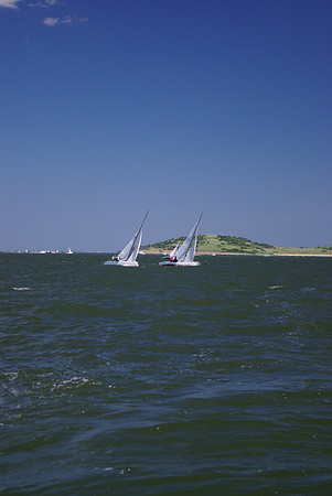 IMGP2619