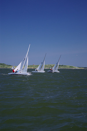 IMGP2623