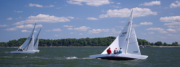 IMGP2629c