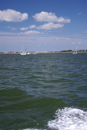 IMGP2634