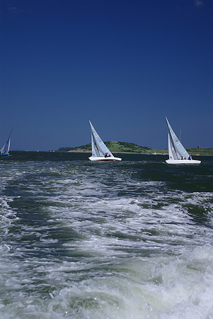 IMGP2636