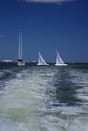 IMGP2637