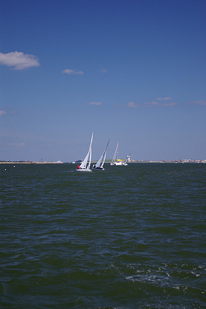 IMGP2642