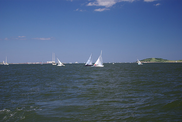 IMGP2644