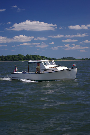 IMGP2645