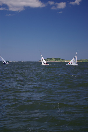 IMGP2646