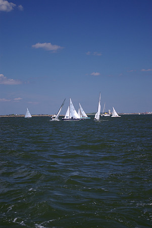 IMGP2649