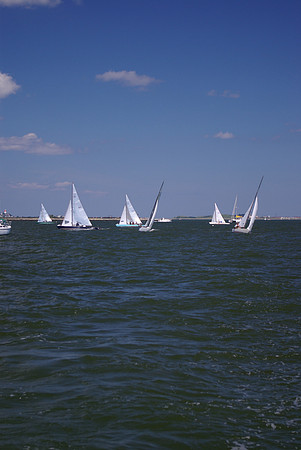 IMGP2650
