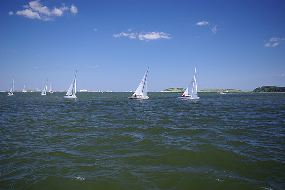 IMGP2651