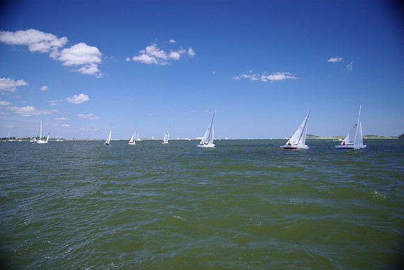 IMGP2652