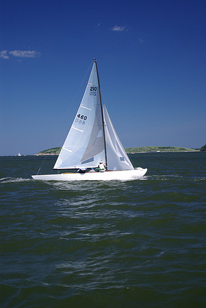 IMGP2658