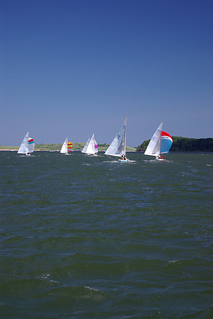IMGP2685