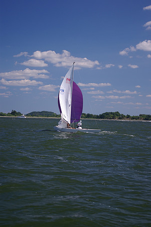 IMGP2706