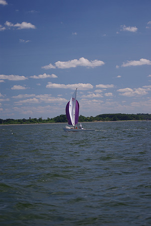IMGP2708