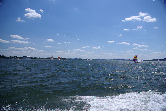 IMGP2711