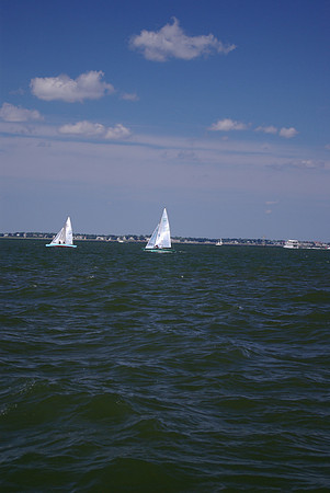 IMGP2768