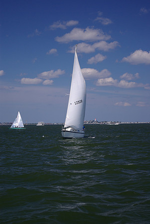 IMGP2771