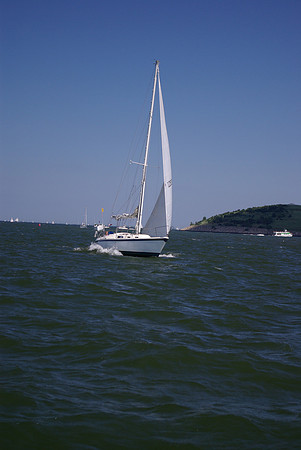 IMGP2772