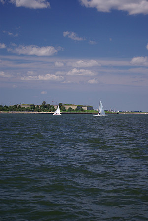IMGP2773