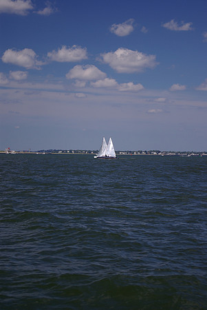 IMGP2774