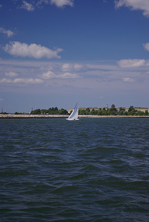 IMGP2779