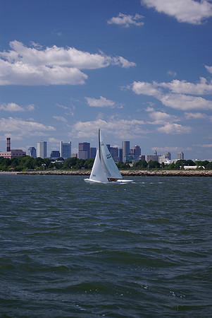 IMGP2781