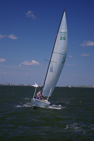 IMGP2806