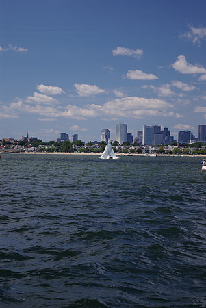 IMGP2818