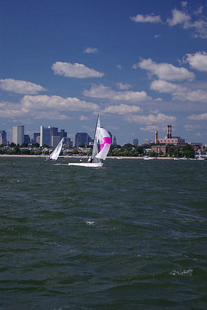 IMGP2831
