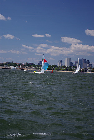 IMGP2833
