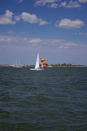 IMGP2852