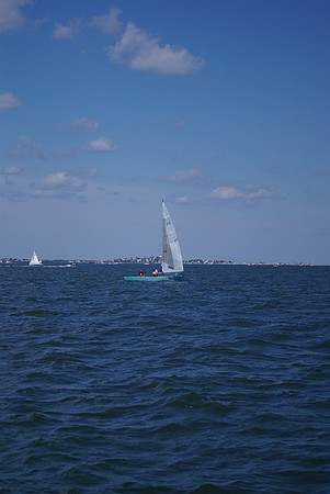 IMGP2867