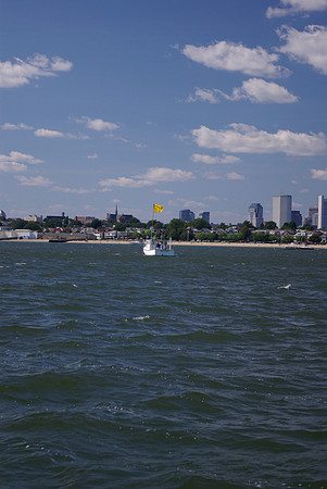 IMGP2874