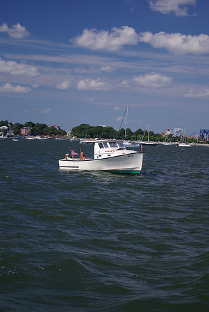 IMGP2875