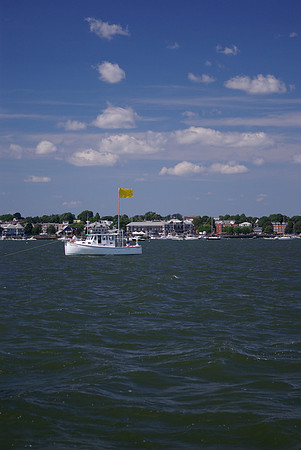 IMGP2877