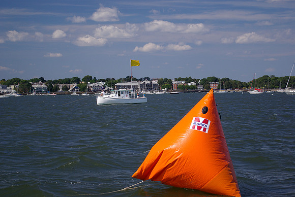 IMGP2878